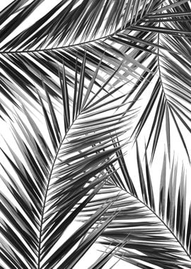 Palm Leaves Dream 3