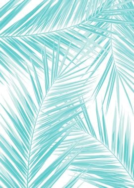 Palm Leaves Dream 2