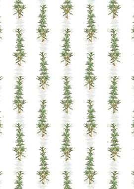 Floral Rosemary Pattern