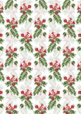 White Trumpet Vine Pattern