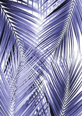 Very Peri Palm Leaves 2