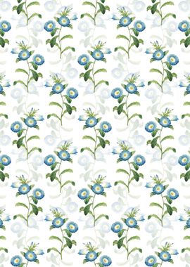 Field Bindweed Pattern