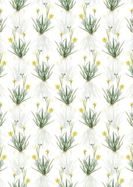 Yellow Eyed Grass Pattern