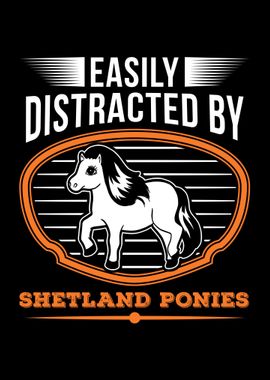 Shetland Pony Shetty