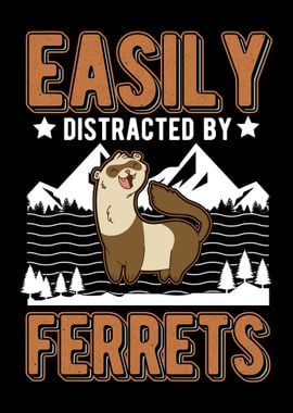 Ferret Lover