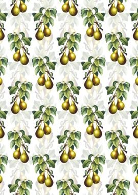 White Floral Pear Pattern