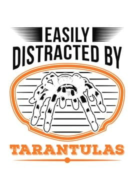 Tarantula Spider