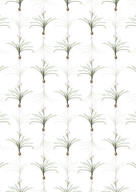 Floral Rain Lily Pattern