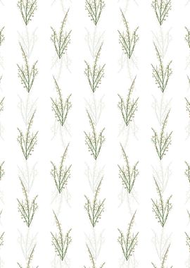 Floral White Broom Pattern