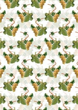 Vermentino Grapes Pattern