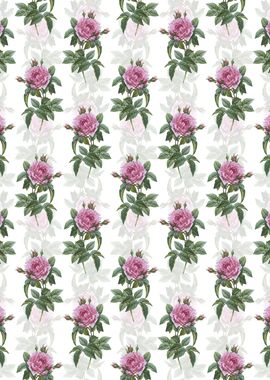 Pink French Rose Pattern