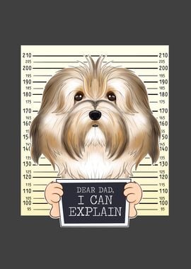 Havanese Dog Dad