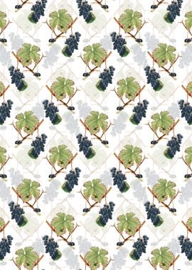 Barbera Grape Pattern