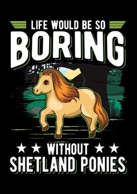 Shetland Pony Shetty