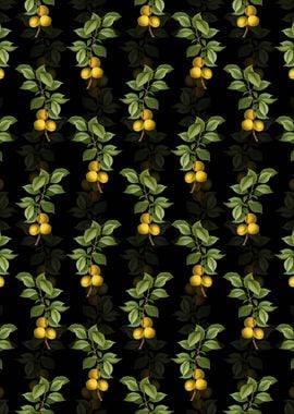 Briancon Apricot Pattern