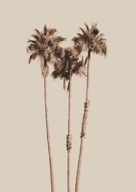 Palm Trees Earthy Vibes 1