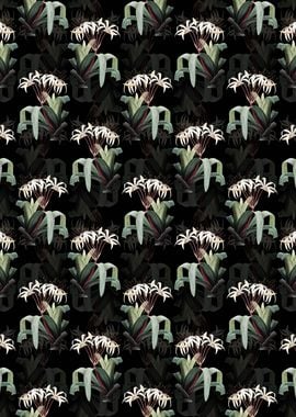 Crinum Erubescens Pattern