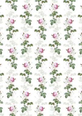 Provence Rose Pattern