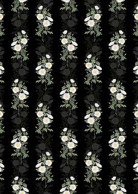 White Burnet Roses Pattern