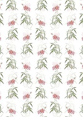 Peach Leaved Rose Pattern