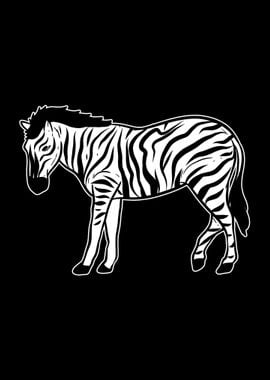 Zebra Safari