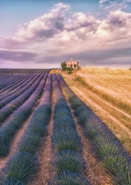 Valensole