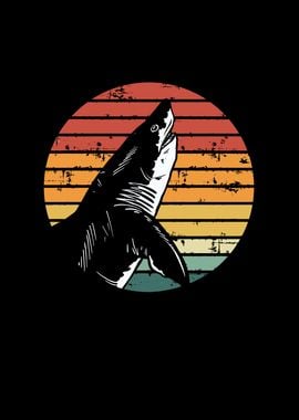 Shark in retro vintage