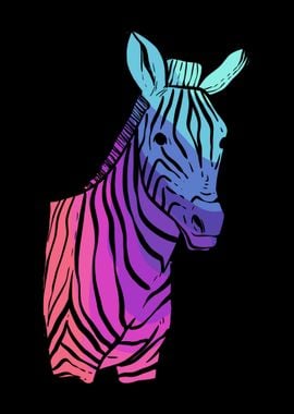 Zebra Colorful