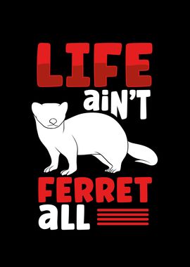 Ferret life