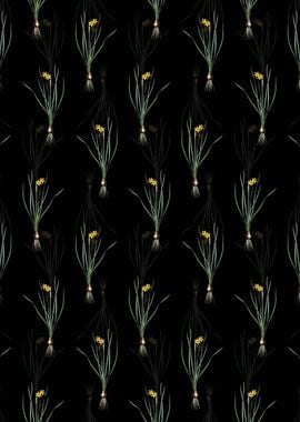 Rush Leaf Jonquil Pattern