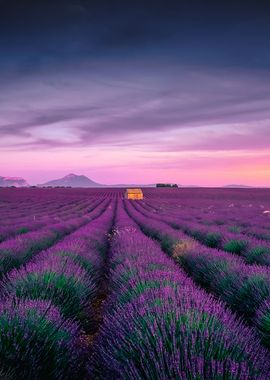 Sunset Over The Provence