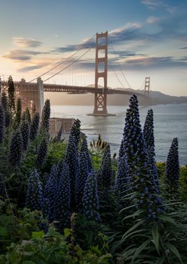 Golden Gate at Presidio