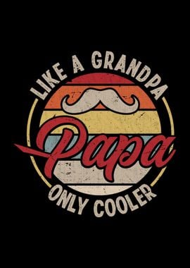 Best Papa Fun Cool Father