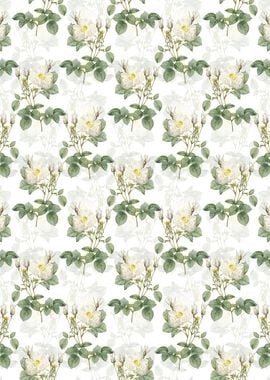 White Rose of York Pattern