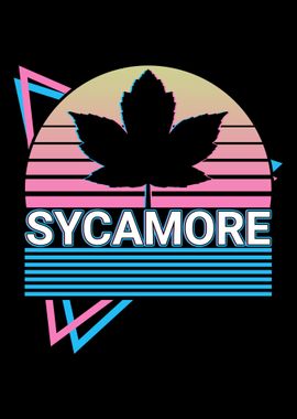 Sycamore Retro