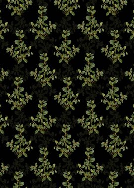 Italian Buckthorn Pattern