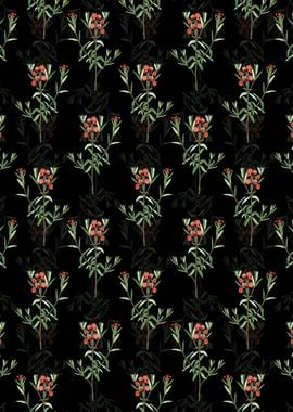 Bog Laurel Bloom Pattern