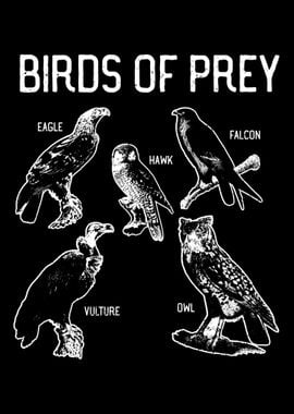 Birds of Prey