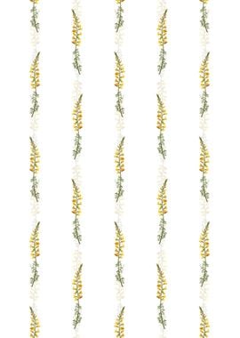 Floral Adenocarpus Pattern