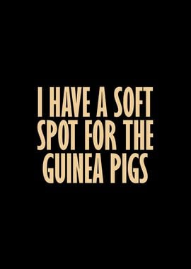 Soft spot for the Guinea