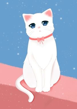 Cute white Cat