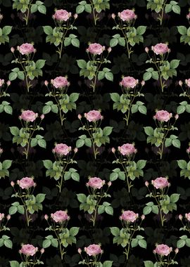 Pink French Roses Pattern