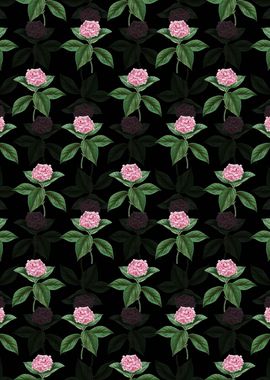 French Hydrangea Pattern