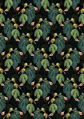 Vintage Floral Fig Pattern