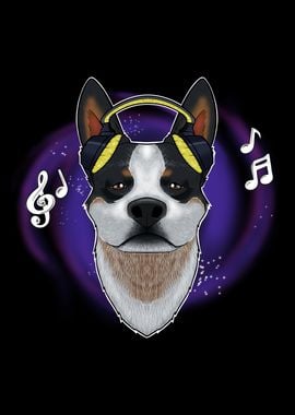 Australian Cattle Dog DJ