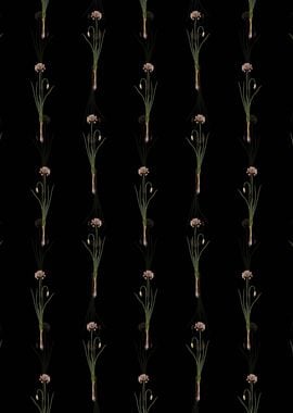 Black Autumn Onion Pattern