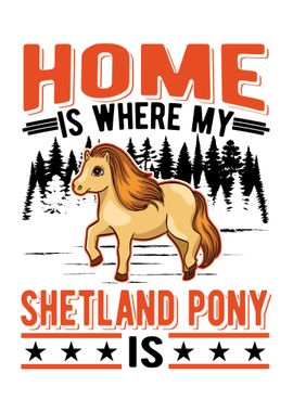 Shetland Pony Shetty