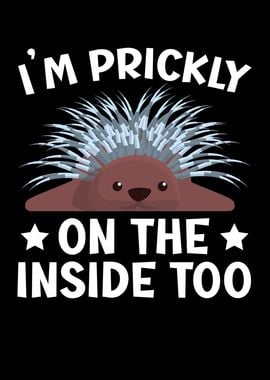 Prickly On The Inside Too