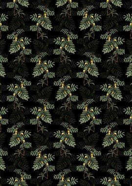 Black Sweet Acacia Pattern