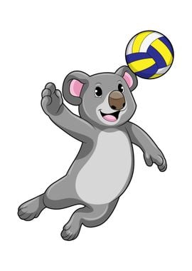 Koala Volleyball Sports